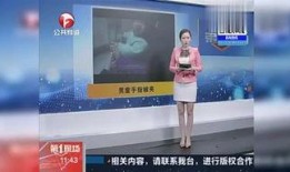 娱乐爆料小天使,小天使娱乐爆料大揭秘